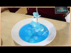 Ice Fishing Science Experiment