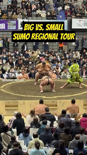 Sumo Wrestling: Big vs Small Size Mismatch