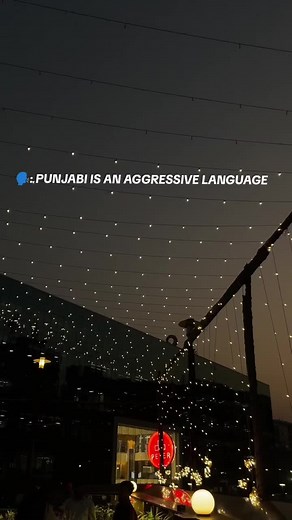Punjabi Language Characteristics and Expressions
