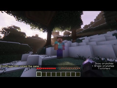 Minecraft with Coolplayer303!