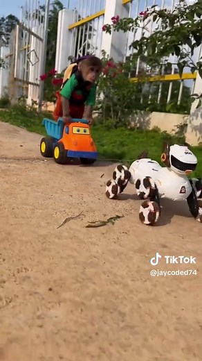 Funny Coding Videos that Make You Laugh
