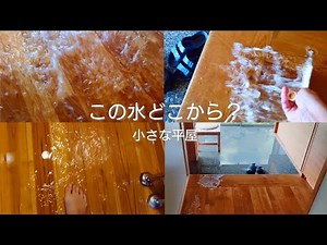 [Housewife Vlog] A shocking day in the life | A complete change in our everyday, peaceful life | ...