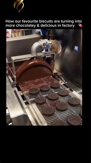 Information | science | technology on Instagram: "Your favorite biscuits aren’t just getting sweeter — they’re getting *engineered* to be more chocolatey 🍫 Behind every bite of that richer, darker, more indulgent biscuit is a factory process designed to push flavor to the limit. It starts with upgraded cocoa blends. Manufacturers now use higher cocoa solids, alkalized cocoa for deeper color, and micro-ground chocolate particles that melt faster on your tongue. This creates a stronger chocolate 