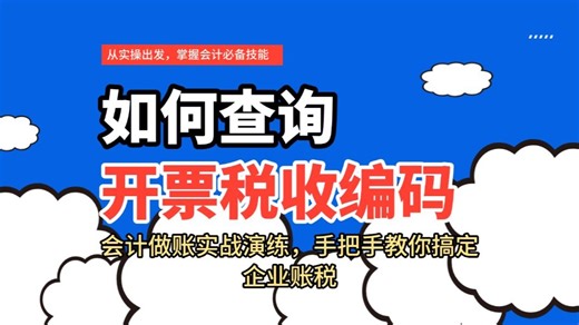如何查询开票税收编码/会计实操/会计基础入门课程
