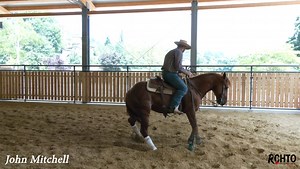 New Video! Working finished cow and cutting horses on the flag can be tricky! They may feel good, how ever they could be cheating and you end up neglecting some of the fundamentals that will get you in trouble when you go to work cattle! John Mitchell helps a Cow Horse trainer work his six year old on the flag and how to maintain and school an open horse, demonstrating: * Why he works his open horses in a plain snaffle at home, even though they may have already won hundreds of thousands of dolla
