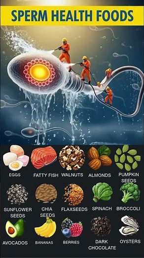 Sperm Health Foods | Boost Male Fertility Naturally