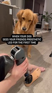 Such a sweet moment. 🥰🐾 (🎥 Amy Purdy) | NBC Olympics & Paralympics