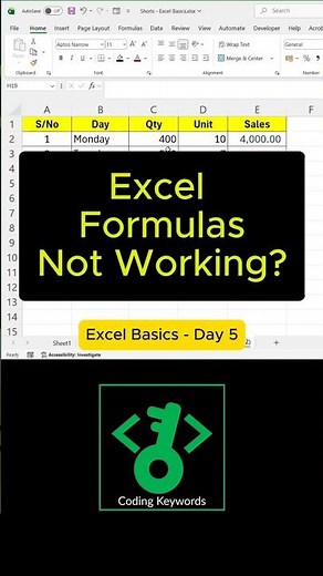 Excel Basics - Day 5 (Copying Formulas)
