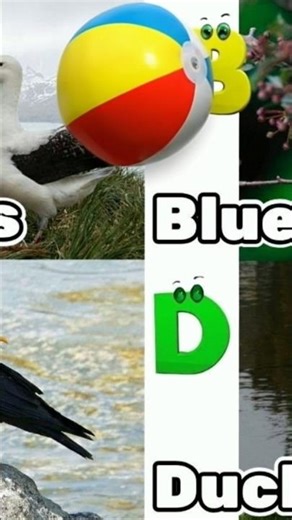 Ball Fall and Bounces Off B #ball #alphabet #abcd #abc #kidssongs