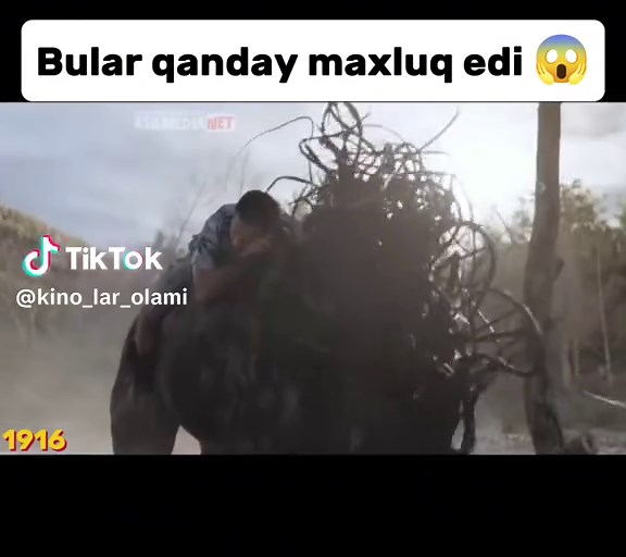 Kino Kodi 1916: A Captivating Cinematic Experience