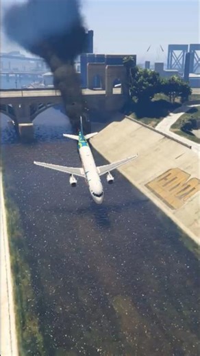 Airbus A-320 Makes Emergency Landing On Beach #gtav #aviation