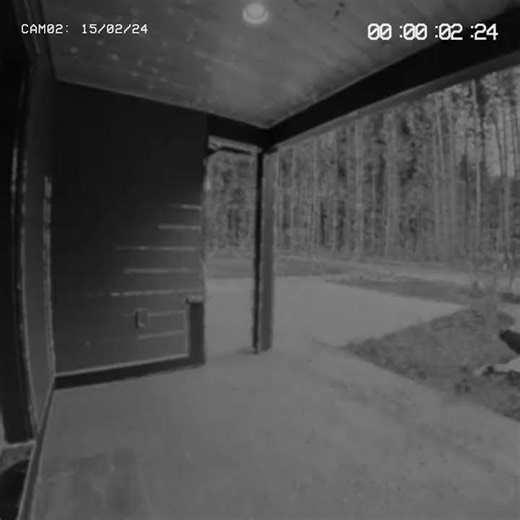 All Things Wicked Official Teaser - Dead By Daylight Mobile