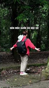 Các tips săn mùa bướm tại VQG Cúc Phương | Vietnam Tourism