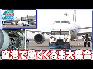 【のりもの図鑑】空港ではたらくくるま（トーイングトラクター、マーシャリングカー、タラップ車 ほか）｜羽田空港