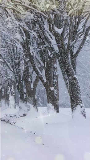 雪列車 前川 清