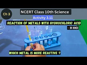 Activity 3.11 I Class 10 Science I Reaction of metals with HCl