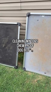 Canine Ballistics Dog Bed Cleaning Tips | Waterproof Indestructible Bed