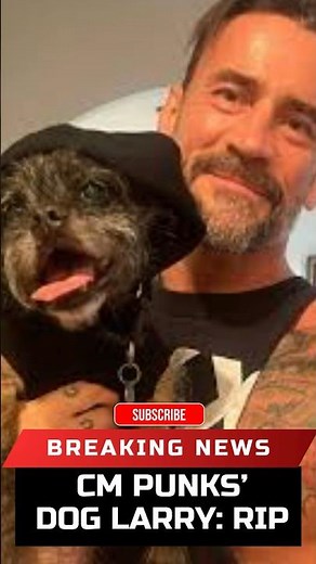 HEARTBREAKING! 💔 CM Punk & AJ Lee Mourn the Death of Beloved Dog Larry (Emotional Tribute) #wwe