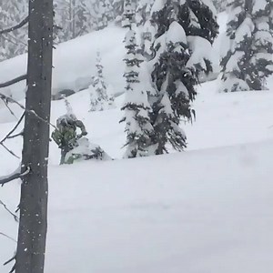 36K views · 852 reactions | Deep Snow Turbo  @ridinsnowy #sledheadz | Sled_Headz | Facebook