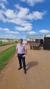 468K views · 4.4K reactions | Farm 2 For Sale: Price R165M + vat 220ha 3 x profit centres - vegetables, feedlot, used agricultural equipment Included: R25M veg stock R30M cattle R12M equipment sales stock Approx R28M farm equipment - tractors, trucks, implements, pack house equipment. 10 ha under tunnels 14ha under shade net 40 ha open land veg production 80ha game camp with impala, springbuck, water buck, nyala, ostrich 4 x residences | Mzansi Cribs | Facebook