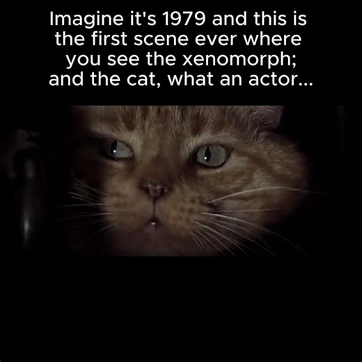 Cine7Hub | Cinema, Movies & Film Passion on Instagram: "When "Alien" (1979) arrived, it didn't just scare the world; it rewrote the visual language of science fiction. Ridley Scott and H.R. Giger replaced the clean, shiny "future" of classic science fiction with something darker, dirtier, more industrial... and terrifyingly real. The Nostromo looked lived-in, the technology felt heavy and functional, and the creature designs introduced a whole new aesthetic: biomechanical, organic, and frighteni