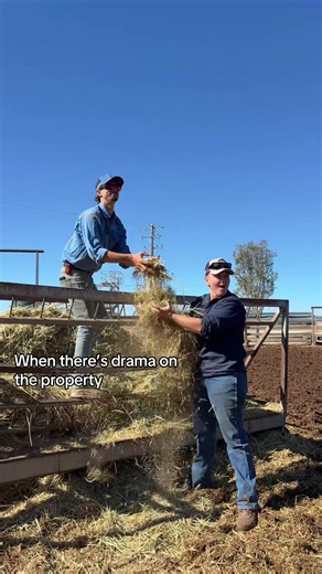 Drama 🤯 #workdrama #fyp #drama #agriculture #coworkers | work