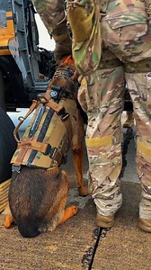 When the call comes in, we have to be prepared to go anywhere at any time to protect the American people. That’s why we prepare for every possible scenario. Our mission oftentimes includes inserting BORTAC along with their #K9 teams into the most dangerous landscapes via fast-roping. When it comes to our #BorderSecurity mission, failure is not an option! #SpecOps #AMO #BORTAC #FastRope | CBP Air and Marine Operations