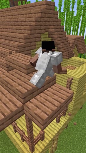 i will dominate this smp with NATIONALISM #minecraft #minecraftmemes