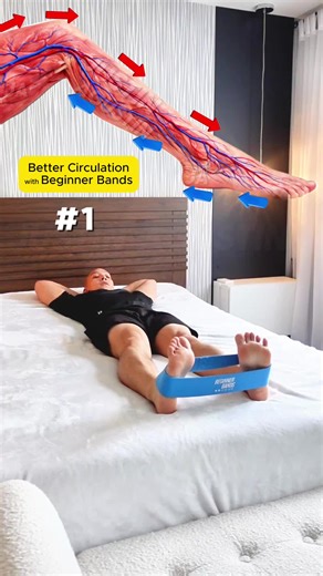 Beginner Resistance Bands for Joint-Friendly Workouts