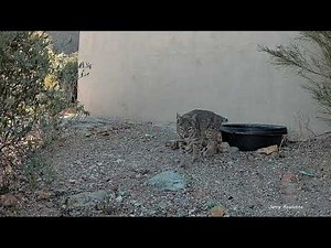 Another day another night then another beautiful Arizona morning