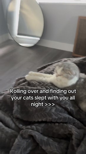 593K views · 61K reactions | No better way to wake up really #fblifestyle | dancatdad | Facebook