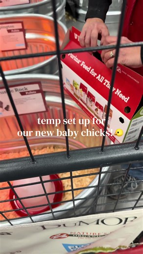 Setting Up for Our New Baby Chicks