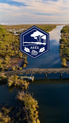 Tour du monde en 80 km 🌍 ➡ Prochaine escale : @tourismeares ! ☀️ C’est un peu notre capitale de l’art et de la culture à nous : art de rue lors du Festival Regarde !, street art, concert, théâtre…tout y est ✨ D’ailleurs, sa renommée se fait même au-delà de notre planète Terre, comme en témoigne son ovniport 👽 Pour en prendre plein la vue et en (ap)prendre plein les oreilles, on vous conseille une visite guidée avec Alexandre, guide naturaliste spécialiste de nos écosystèmes 🐚 des prés salés d