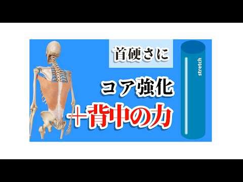 【首の硬さに】コア強化＋背中の力つけていきましょう