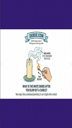 Melting Wax vs Burning Candle | Reversible & Irreversible Changes Explained in 30 Seconds | Revision