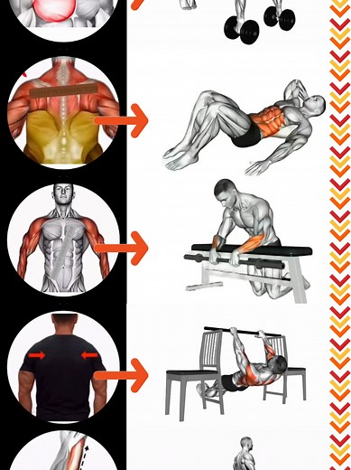 Best Home Workout: 6 Top Exercise Apps Reviewed