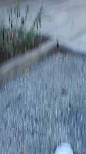 Simplified Toll Booth Action Explained