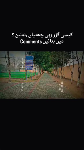 BBC numL | #numlains♥️ #numlains♥️ #numluniversity #numl_ki_batain #instamood | Instagram