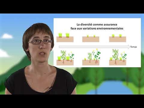 Biodiversité, fonctionnement et stabilité des écosystèmes