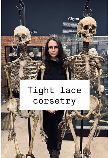 Corsetry's Lasting Impact on Skeletons | The Bone Museum