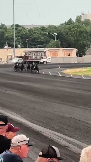 WINNER’S BET 🤩 Fastest 4 YO horse in Big M trotting history ✅ fastest trotting mile of the seaon in the sport ✅ #playbigm #harnessracing #playmeadowlands #meadowlandsracetrack #horseracing