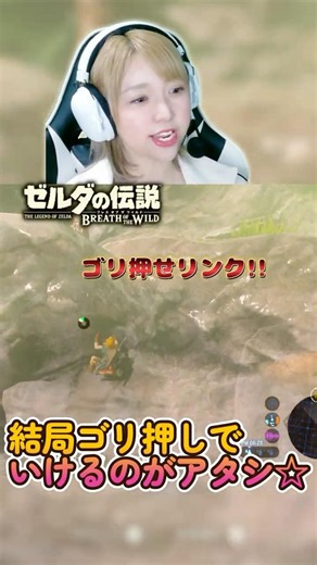 ゴリ押せリンク!!!それでいいんだ！😳 #ゼルダの伝説ブレスオブザワイルド #shorts