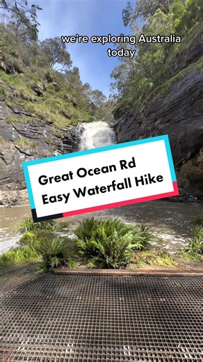 Exploring Australia’s Great Ocean Road? Then add Sheoak falls to the stops to get a lil waterfall action in. #australia #greatoceanroad #waterfall #hike #explore #sheoakfalls