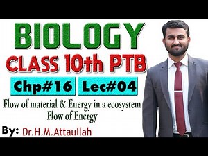 Flow of Material in an ecosystem | Chapter # 16 | Biology Class 10th | Lec# 4