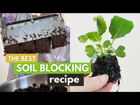 The Soil Block Recipe You've Got to Try