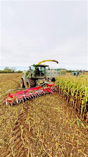John Deere 9900i forage harvester entering maize