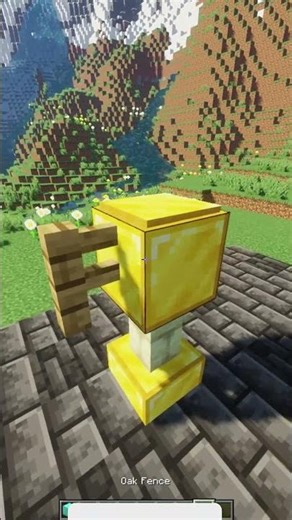 Minecraft Trophy Designs Tutorial🏆🏆