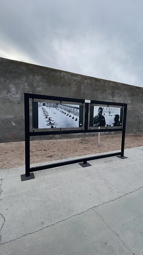 Exploring Nelson Mandela's Legacy at Robben Island Prison