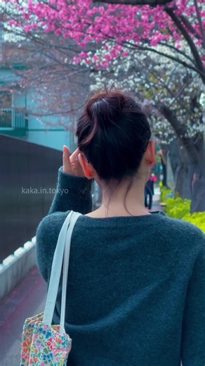 Exploring Spring in Tokyo: Sakura and Urban Vibes