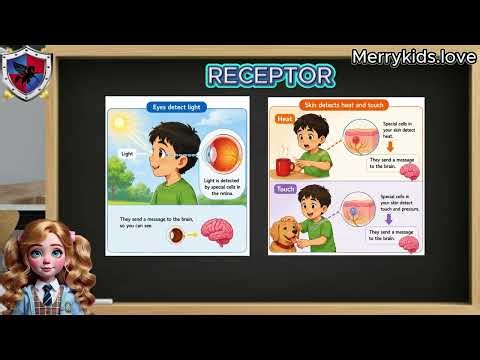 SCIENCE 7 - BIOLOGY - LESSON 7 - VOCABULARY